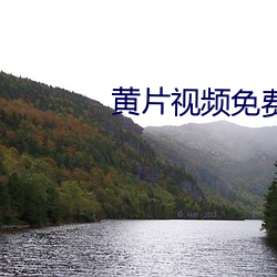 黄片视频免费APP下载