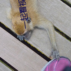 一(一)起看视频的软(軟)件叫什么