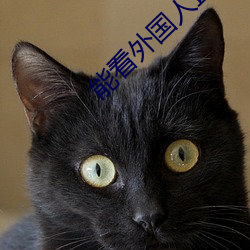 能看(看)外(外)国(國)人直(直)播(播)的软件