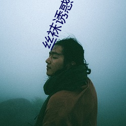 丝袜诱(誘)惑(惑)视频