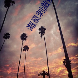 海量刺激爽(爽)片