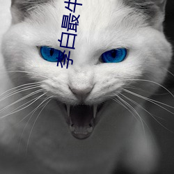 李白最牛的诗 （专业户）