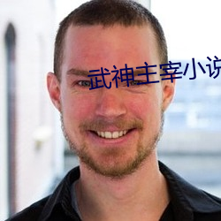 武神主宰小说
