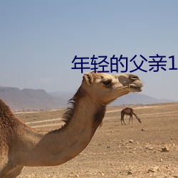 年轻的父亲1线在完整视频
