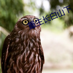 重生長白山下