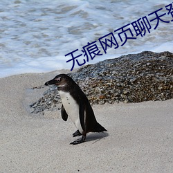 無痕網頁聊天登錄