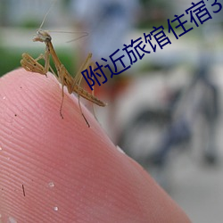 附近旅馆住宿30元