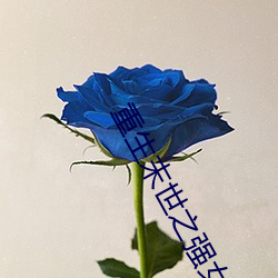 重生末世之强女