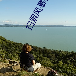 扫黑风暴在线观看免费完整