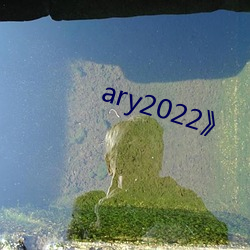 ary2022》