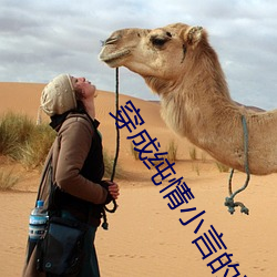 穿成纯(純)情小言的恶(惡)女配
