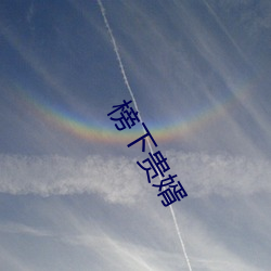 榜下貴婿