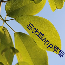 忘优草app苹果