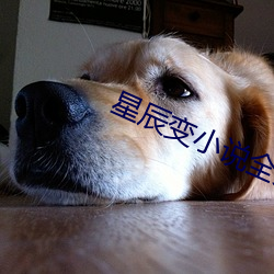 星辰變小說全文免費閱讀