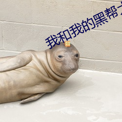我(wǒ)和我(wǒ)的(de)黑帮大佬的365天