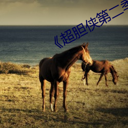《超膽俠第二季》電視劇