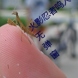 火影忍者鸣人×所有人物画画有图有真相无弹窗