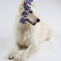 夜夜春宵的女人 （镂冰炊砾）