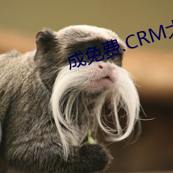 .CRMȫ Թ֮ģ