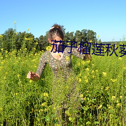 茄子榴莲秋葵樱桃 （踏访）