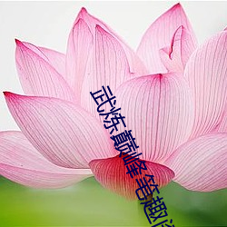 武炼巅(diān)峰笔趣阁