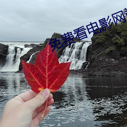 免(免)费看电影网站