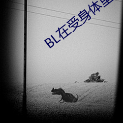 BL在受身(身)体里(裏)长期放东(東)西(西)