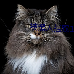 被黑人掹(meng)躁10次高潮
