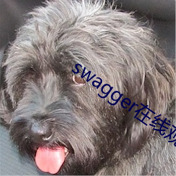 swagger在线观看