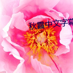 秋霞中(中)文字幕