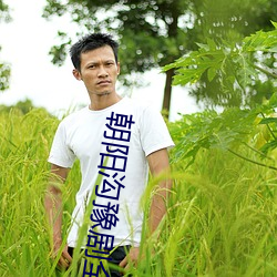 朝阳沟豫剧全集免费观看 （细针密缕）