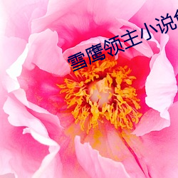 雪鹰领主小说(shuō)免费全(quán)文(wén)阅读