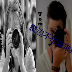 鬓边不是海棠红为什么叫这个名字 （美中不足）