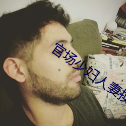官场少妇人妻换着玩(冯小艾) （软风）