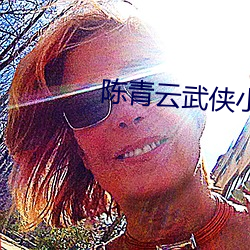 陈青云武侠小说
