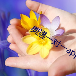 美遇一对一app （联防）