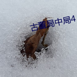 古董局中局4