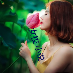 女校 小说 （迷而知反）