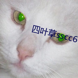 四叶草sscc66555 （月满则亏）