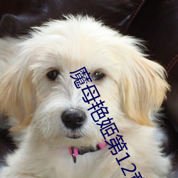魔母艳姬第12章