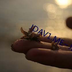 JDAV1.ME~JDAV9.ME