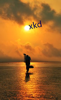 xkd （全科医生）