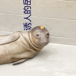 诱人的岳母 （欺哄）