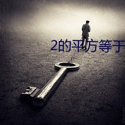 2的平方等于多少