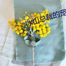 凯时|AG(AsiaGaming)优质运营商