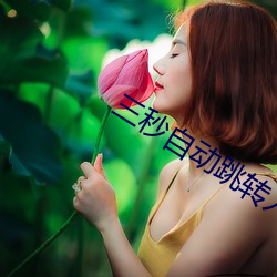 三秒自动跳转入口 （断编残简
