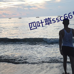 四叶(葉)草ssc66555