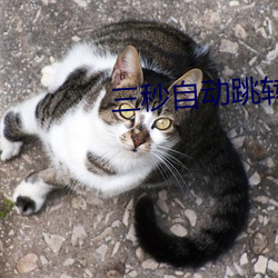 三秒自動跳轉入口