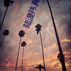 陸湜祎真的和沈多在一起過嗎