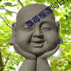 草(草)莓榴(榴)莲向(向)日葵绿巨(巨)人